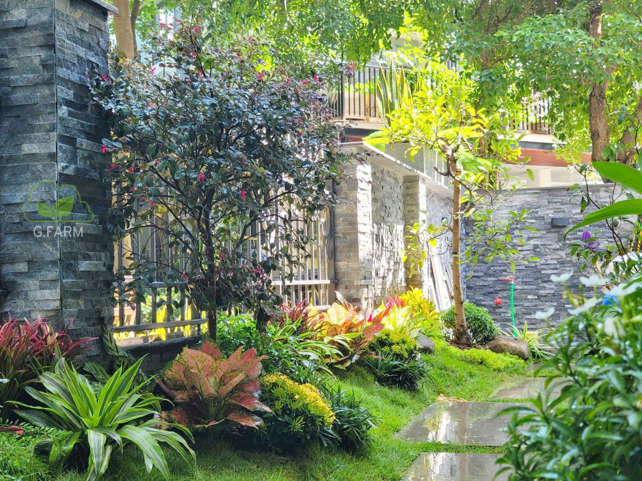 Thiết kế thi công sân vườn biệt thự Greenbay Mễ Trì
